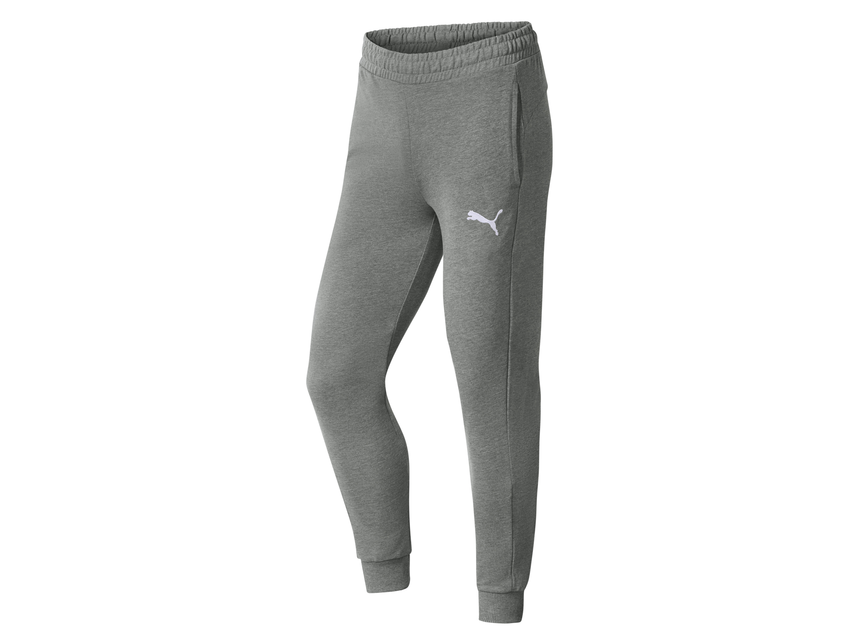 PUMA Spodnie dresowe męskie teamGOAL 23 Casuals (Szary, XL (56/58))