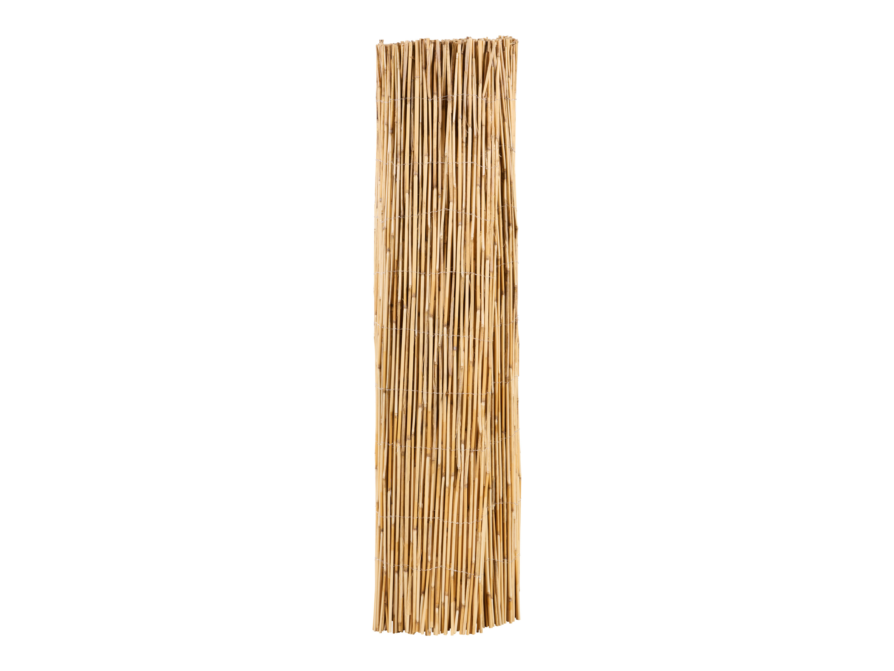 LIVARNO® Mata z trzciny, 600 x 100 cm